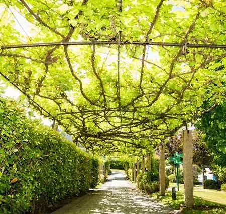 Pazo Do Rio Ξενοδοχείο